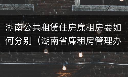 湖南公共租赁住房廉租房要如何分别（湖南省廉租房管理办法）