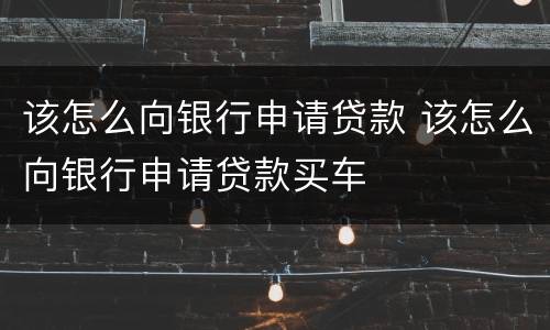 该怎么向银行申请贷款 该怎么向银行申请贷款买车