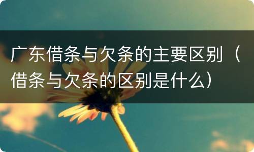 广东借条与欠条的主要区别（借条与欠条的区别是什么）