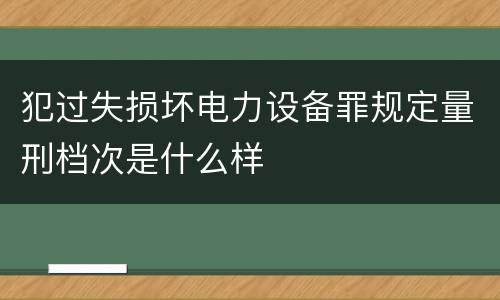 犯过失损坏电力设备罪规定量刑档次是什么样