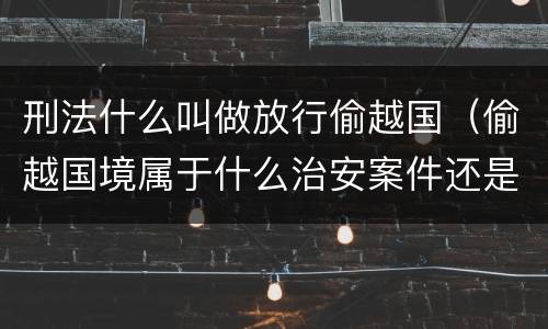 刑法什么叫做放行偷越国（偷越国境属于什么治安案件还是刑事案件）