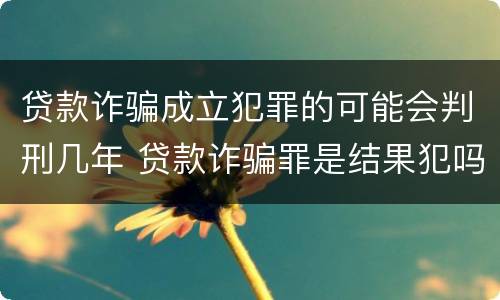 贷款诈骗成立犯罪的可能会判刑几年 贷款诈骗罪是结果犯吗