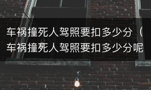 车祸撞死人驾照要扣多少分（车祸撞死人驾照要扣多少分呢）