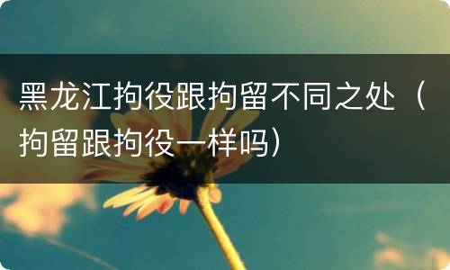 黑龙江拘役跟拘留不同之处（拘留跟拘役一样吗）
