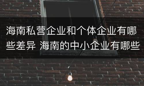 海南私营企业和个体企业有哪些差异 海南的中小企业有哪些