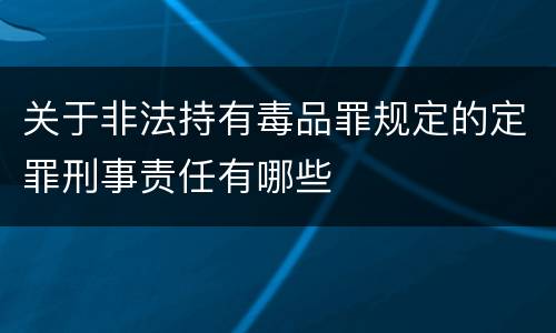 关于非法持有毒品罪规定的定罪刑事责任有哪些