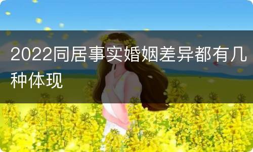 2022同居事实婚姻差异都有几种体现