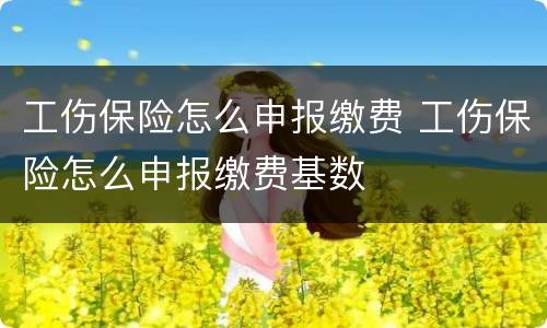 工伤保险怎么申报缴费 工伤保险怎么申报缴费基数