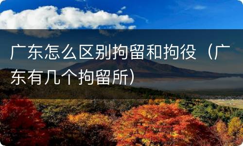 广东怎么区别拘留和拘役（广东有几个拘留所）