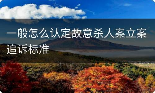一般怎么认定故意杀人案立案追诉标准
