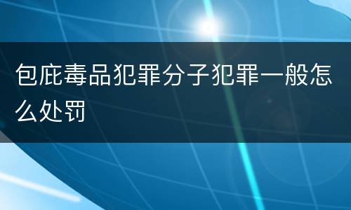 包庇毒品犯罪分子犯罪一般怎么处罚