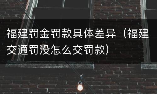 福建罚金罚款具体差异（福建交通罚没怎么交罚款）