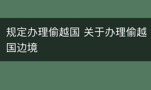 规定办理偷越国 关于办理偷越国边境