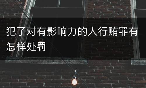 犯了对有影响力的人行贿罪有怎样处罚