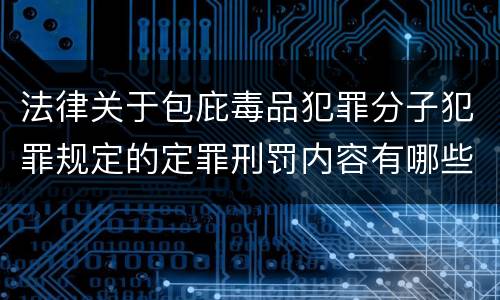 法律关于包庇毒品犯罪分子犯罪规定的定罪刑罚内容有哪些