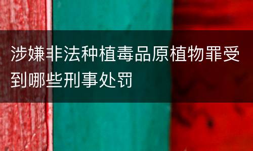 涉嫌非法种植毒品原植物罪受到哪些刑事处罚
