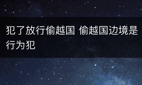 犯了放行偷越国 偷越国边境是行为犯