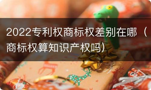 2022专利权商标权差别在哪（商标权算知识产权吗）