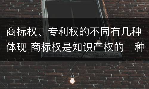 商标权、专利权的不同有几种体现 商标权是知识产权的一种吗