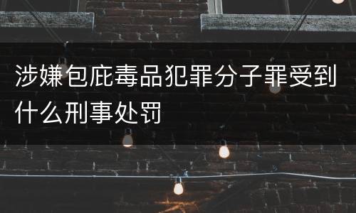 涉嫌包庇毒品犯罪分子罪受到什么刑事处罚