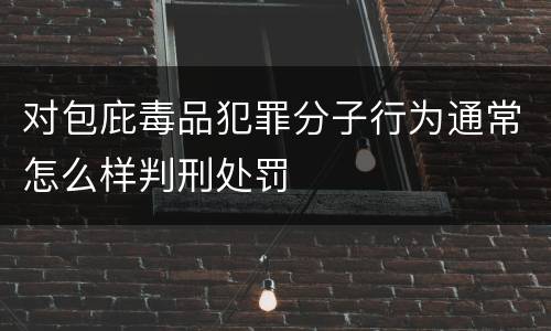 对包庇毒品犯罪分子行为通常怎么样判刑处罚