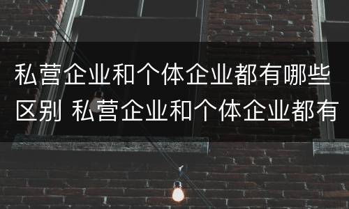私营企业和个体企业都有哪些区别 私营企业和个体企业都有哪些区别呢