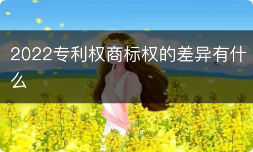2022专利权商标权的差异有什么