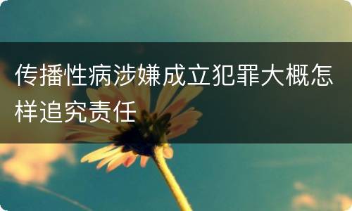 传播性病涉嫌成立犯罪大概怎样追究责任