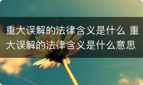 重大误解的法律含义是什么 重大误解的法律含义是什么意思