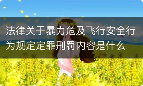 法律关于暴力危及飞行安全行为规定定罪刑罚内容是什么