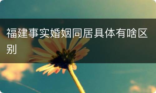 福建事实婚姻同居具体有啥区别
