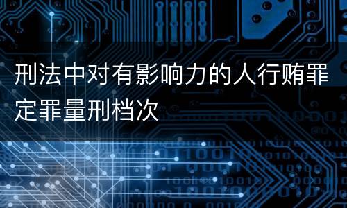 刑法中对有影响力的人行贿罪定罪量刑档次