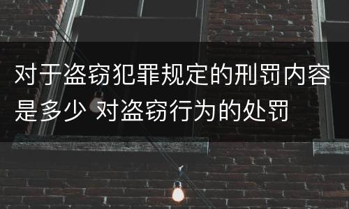对于盗窃犯罪规定的刑罚内容是多少 对盗窃行为的处罚