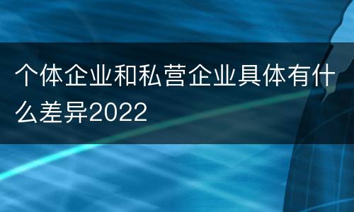 个体企业和私营企业具体有什么差异2022