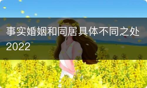 事实婚姻和同居具体不同之处2022