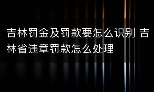 吉林罚金及罚款要怎么识别 吉林省违章罚款怎么处理