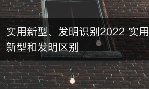 实用新型、发明识别2022 实用新型和发明区别