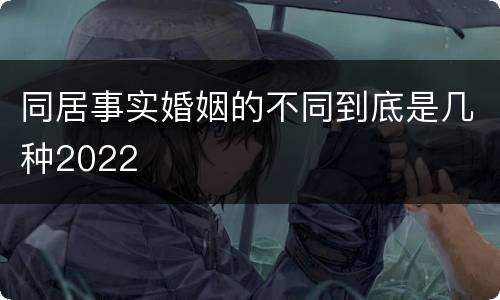 同居事实婚姻的不同到底是几种2022