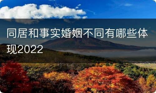 同居和事实婚姻不同有哪些体现2022