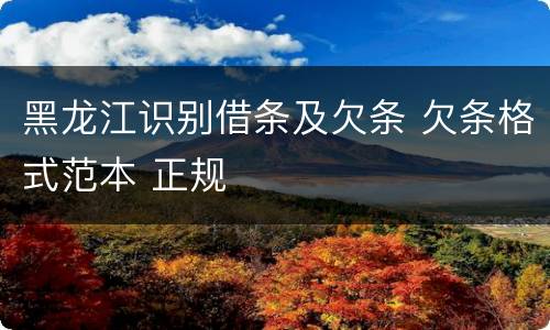 黑龙江识别借条及欠条 欠条格式范本 正规