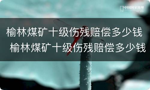 榆林煤矿十级伤残赔偿多少钱 榆林煤矿十级伤残赔偿多少钱一天