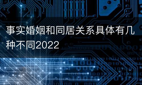 事实婚姻和同居关系具体有几种不同2022