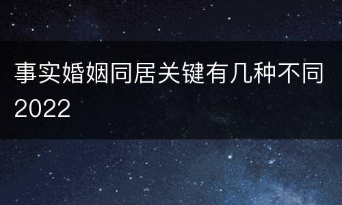 事实婚姻同居关键有几种不同2022