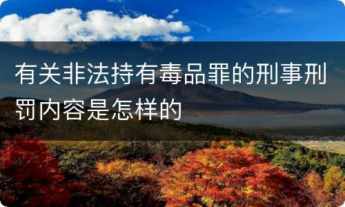 有关非法持有毒品罪的刑事刑罚内容是怎样的
