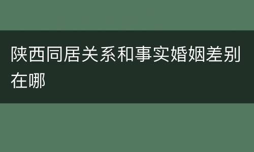 陕西同居关系和事实婚姻差别在哪