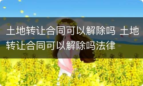 土地转让合同可以解除吗 土地转让合同可以解除吗法律