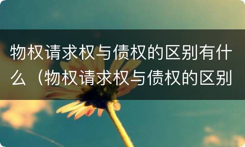 物权请求权与债权的区别有什么（物权请求权与债权的区别有什么不同）