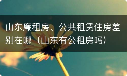 山东廉租房、公共租赁住房差别在哪（山东有公租房吗）