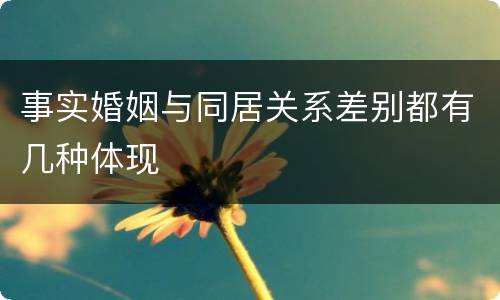 事实婚姻与同居关系差别都有几种体现