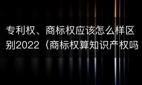 专利权、商标权应该怎么样区别2022（商标权算知识产权吗）